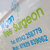 Tree Surgeon Wigan 1072632 Image 1